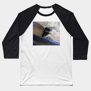 Olive Python Baseball T-Shirt